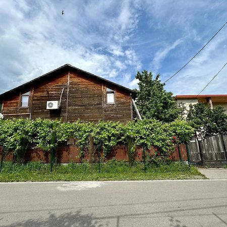 ❆Cozy, 4 Br. Villa In Ananuri❆ Kültér fotó